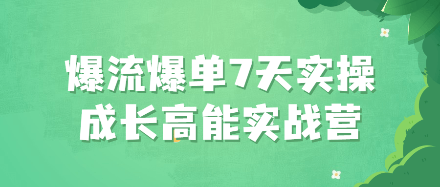 爆流爆单7天实操成长高能实战营-快乐广场